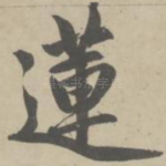 莲