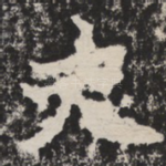 夫