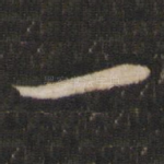 一