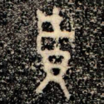 賈