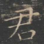 君