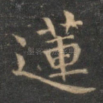 莲