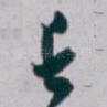长