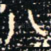 八