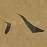 八