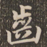 齿