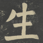 生