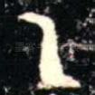 乙