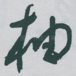 柚