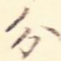 分