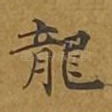 龙