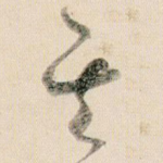 其