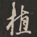 植