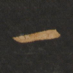 一