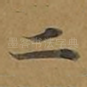 二