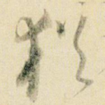 犹
