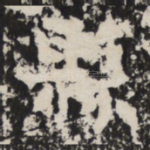 縣