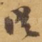 従
