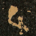 之