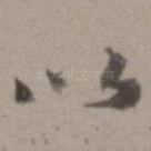 以