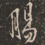 肠