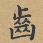 齿