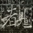 覩