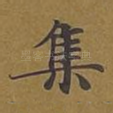 集