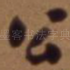 公