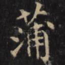 蒲