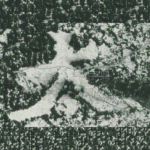 太