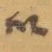 以