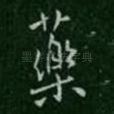 药
