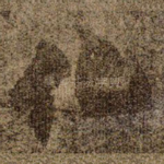 化