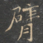 臂