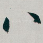 八