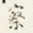 察