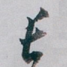 长