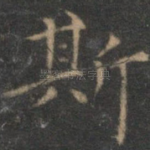 斯