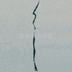 首