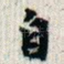 自