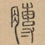 膊