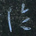 论
