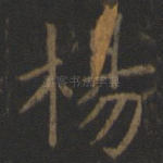 杨