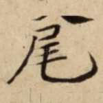 尾