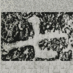 七