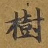 树