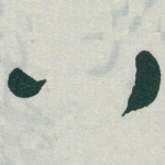 八