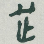 芷