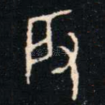 肇